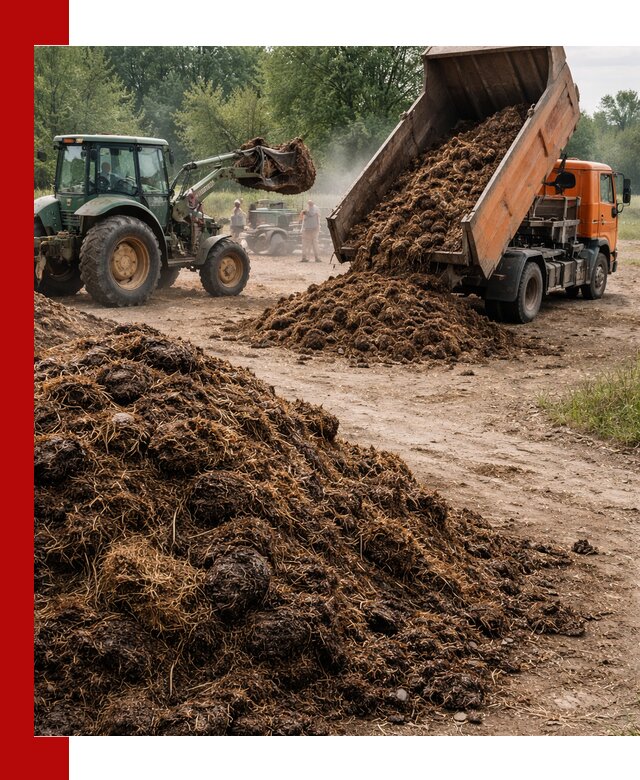 Доставка навоза самосвалами в Смоленске для сельхозпотребностей